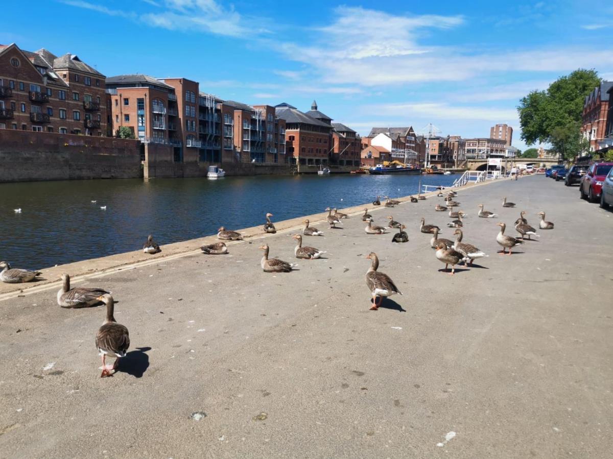 Hartoft St - 2 Bed Near River *